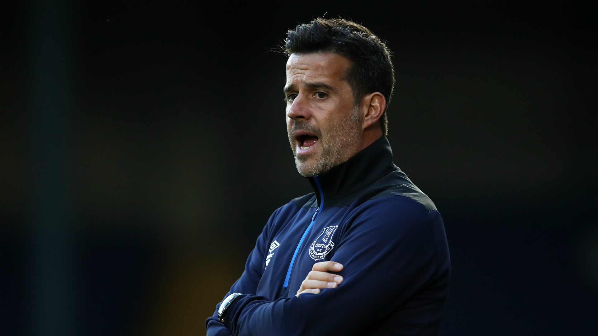 尼苏达森林 尼苏达森林